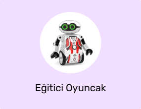 Eğitici Oyuncak