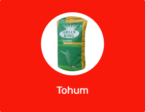 Tohum