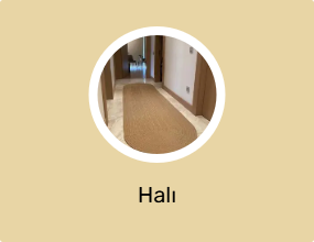 Halı