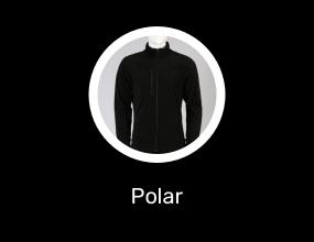 Polar