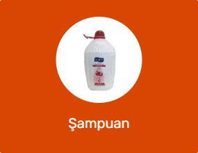Şampuan