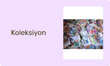 Koleksiyon