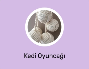 Kedi Oyuncağı