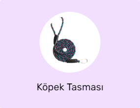 Köpek Tasması