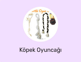 Köpek Oyuncağı