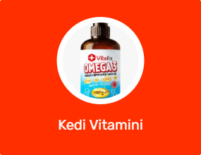 Kedi Vitamini
