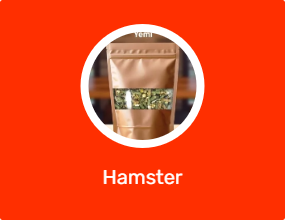 Hamster