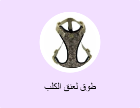 طوق لعنق الكلب