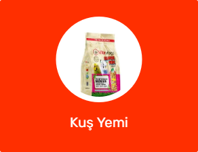 Kuş Yemi