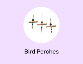 Bird Perches