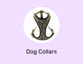 Dog Collars