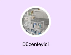 Düzenleyici