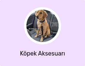 Köpek Aksesuarı