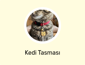 Kedi Tasması