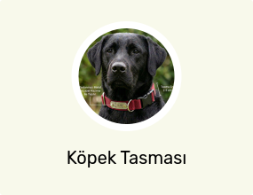 Köpek Tasması
