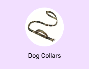Dog Collars