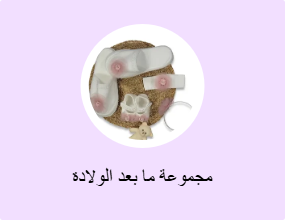 مجموعة ما بعد الولادة