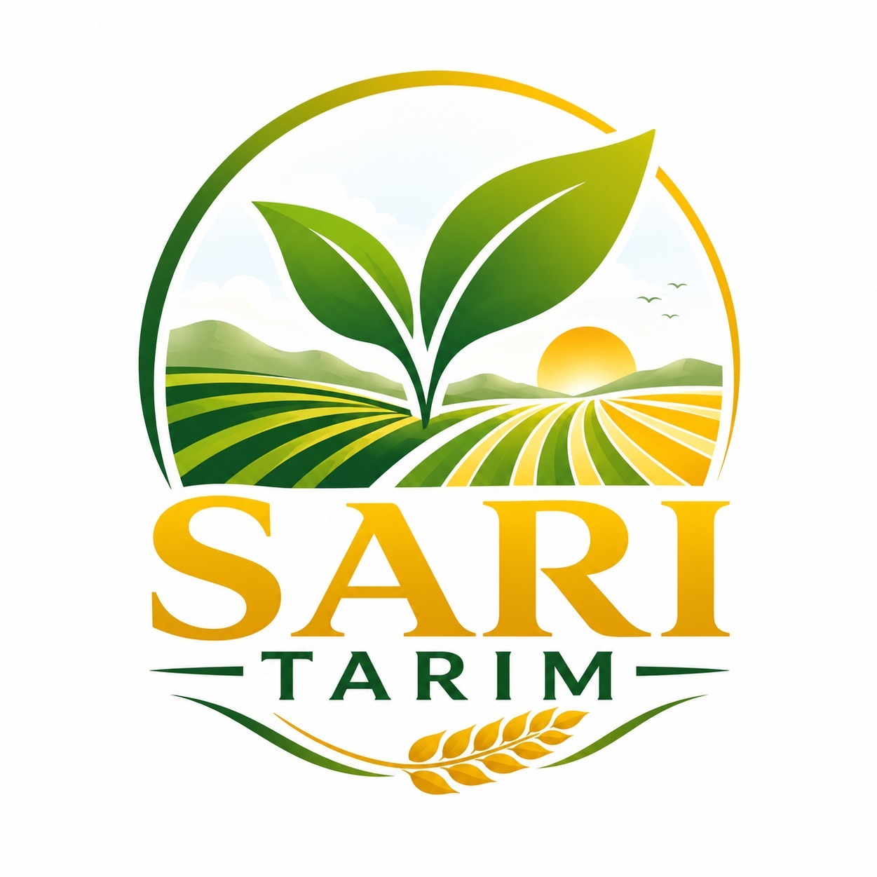 SARI TARIM