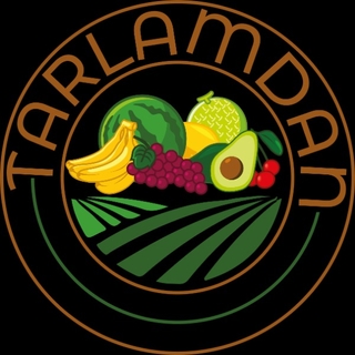 TARLAMDAN