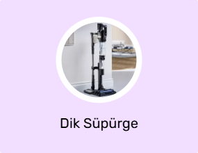 Dik Süpürge