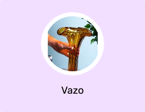 Vazo