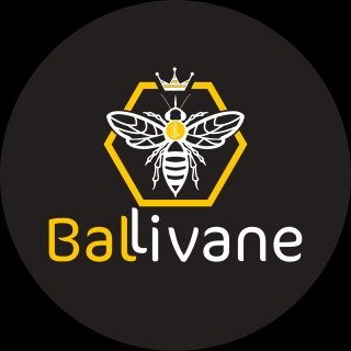 Ballivane logo
