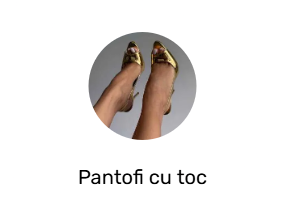 Pantofi cu toc