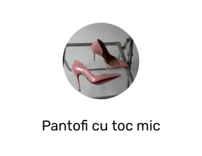 Pantofi cu toc mic