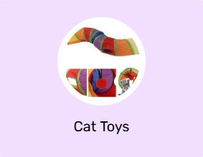 Cat Toys