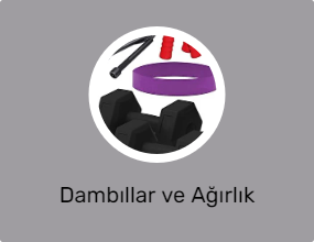Dambıllar ve Ağırlık Plakaları
