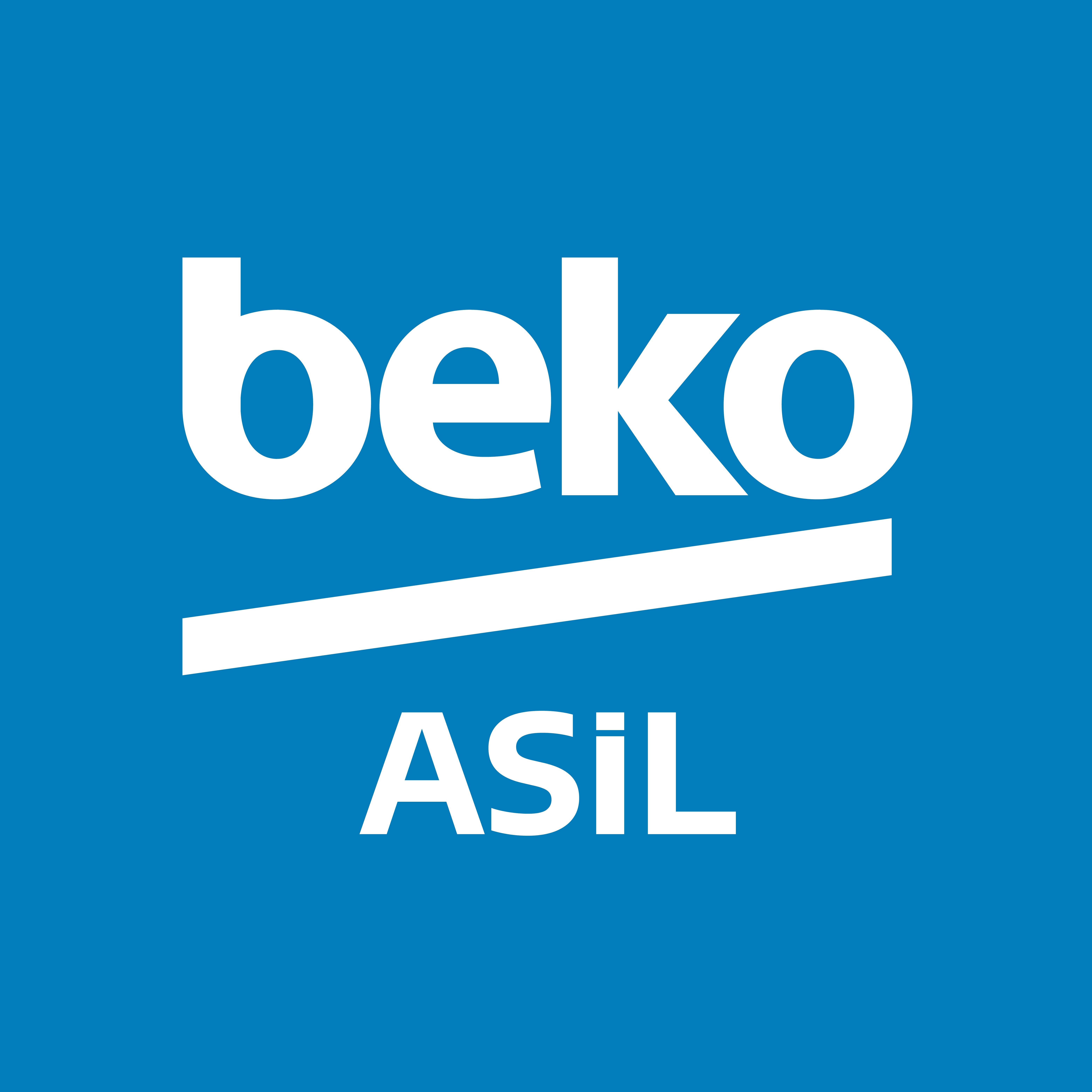 ASİL ASH DAYANIKLI TÜKETİM