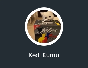 Kedi Kumu