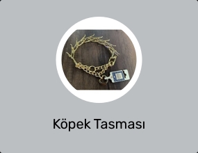 Köpek Tasması