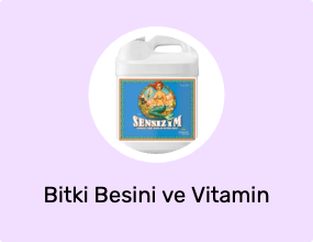 Bitki Besini ve Vitamin