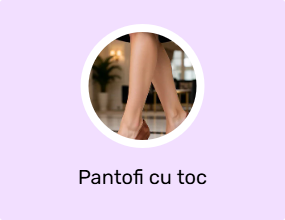 Pantofi cu toc