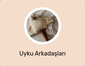 Uyku Arkadaşları