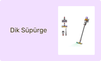 Dik Süpürge
