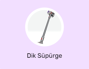 Dik Süpürge