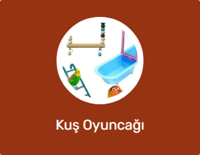 Kuş Oyuncağı