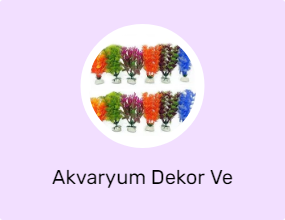 Akvaryum Dekor Ve Aksesuarı