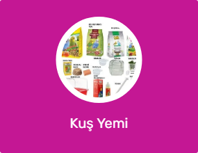 Kuş Yemi