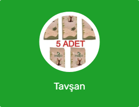 Tavşan