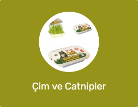 Çim ve Catnipler
