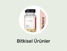 Bitkisel Ürünler