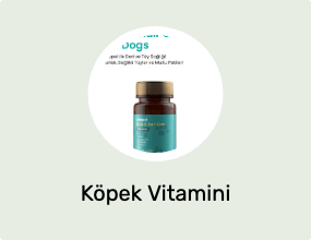 Köpek Vitamini