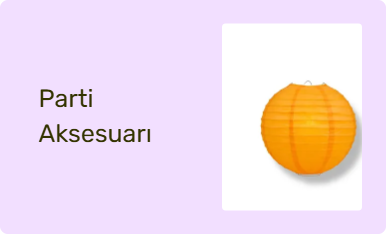 Parti Aksesuarı