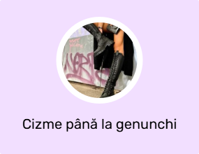 Cizme până la genunchi