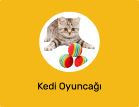 Kedi Oyuncağı