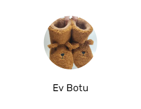 Ev Botu