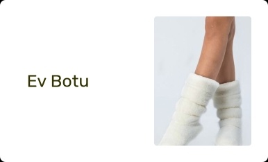 Ev Botu